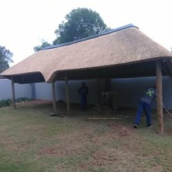 WhatsApp Image 2025-07-01 at 11.33.54