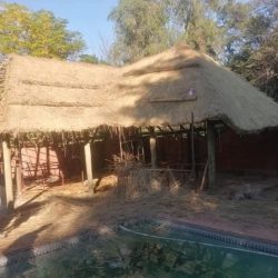 WhatsApp Image 2025-07-01 at 11.42.56(1)