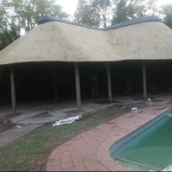 WhatsApp Image 2025-07-01 at 11.42.57(2)