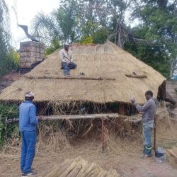 WhatsApp Image 2025-07-01 at 11.42.59(1)