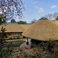 WhatsApp Image 2025-07-01 at 14.58.50(1)