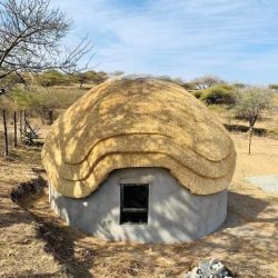 WhatsApp Image 2025-07-01 at 14.59.33(2)